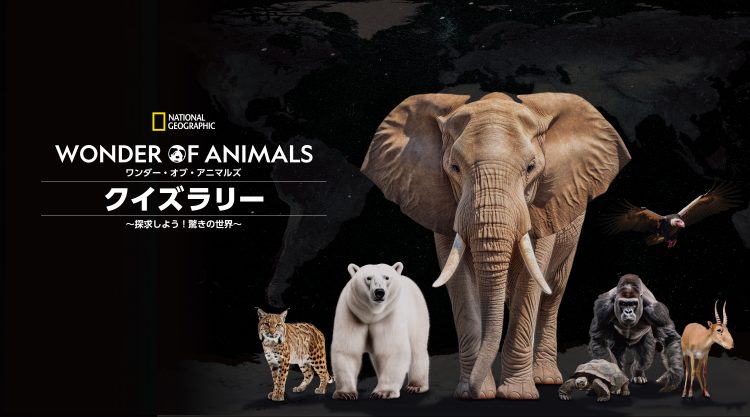 3/14 たまプラーザ テラスで開催!「ナショナル ジオグラフィック WONDER OF ANIMALS クイズラリー ~探求しよう!驚きの世界~」
